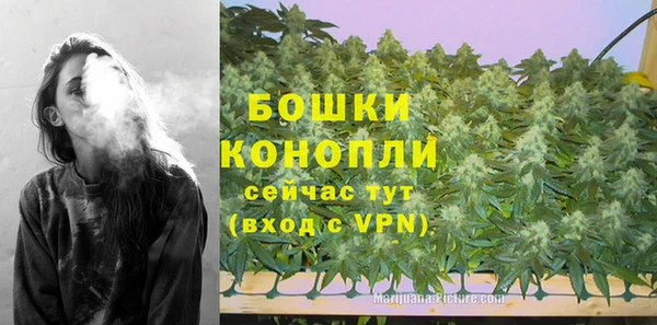 мескалин Гусев