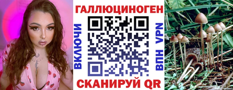 OMG сайт  Новочеркасск  Галлюциногенные грибы MAGIC MUSHROOMS 